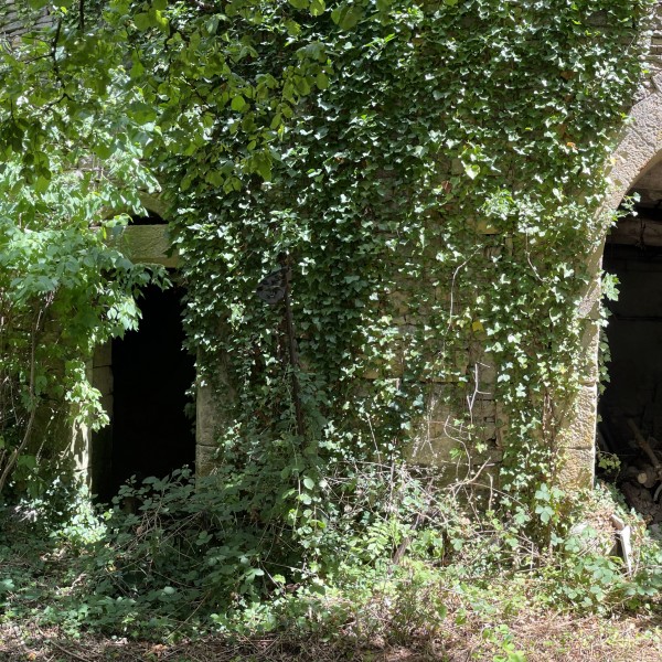 HAUTES COTES DE NUITS ST GEORGES